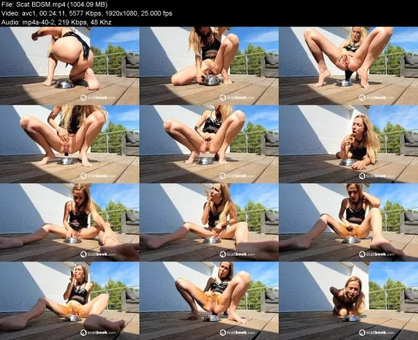 Scat BDSM