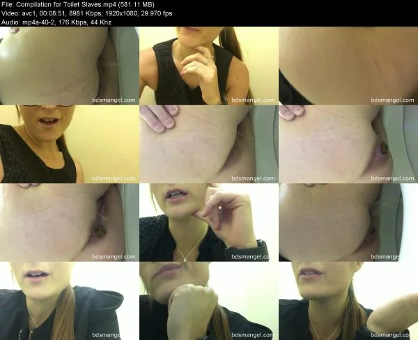 Compilation for Toilet Slaves
