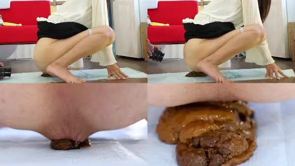JP Fetish Merchant – Teiya Pancake Poop