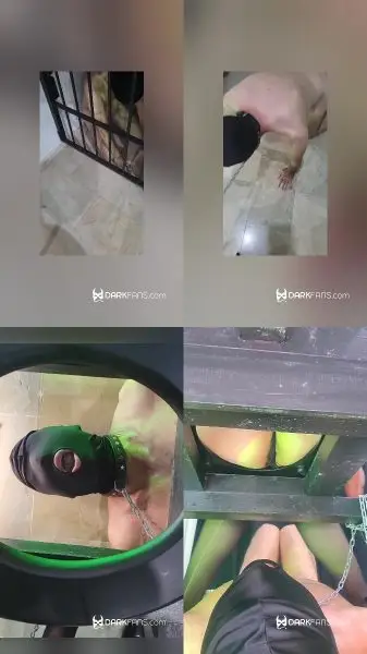 Toilet slave, saco al esclavo de la reja para usarlode