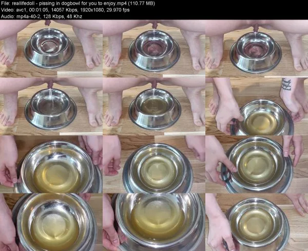 reallifedoll – pissing in dogbowl for you to enjoy