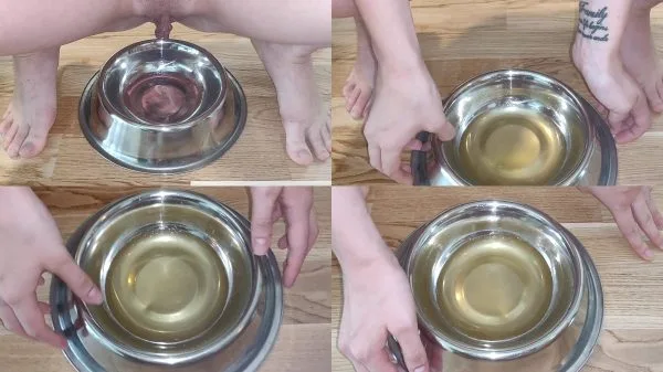 reallifedoll – pissing in dogbowl for you to enjoy