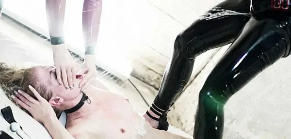 Brutal Treatment Of Dominance – Perversion For Elvira Friss