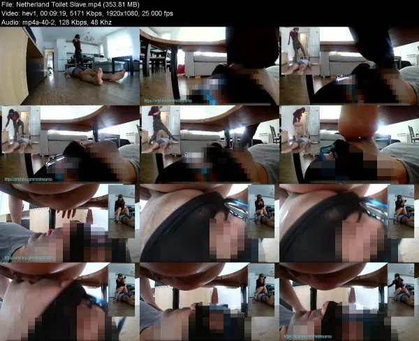 Netherland Toilet Slave