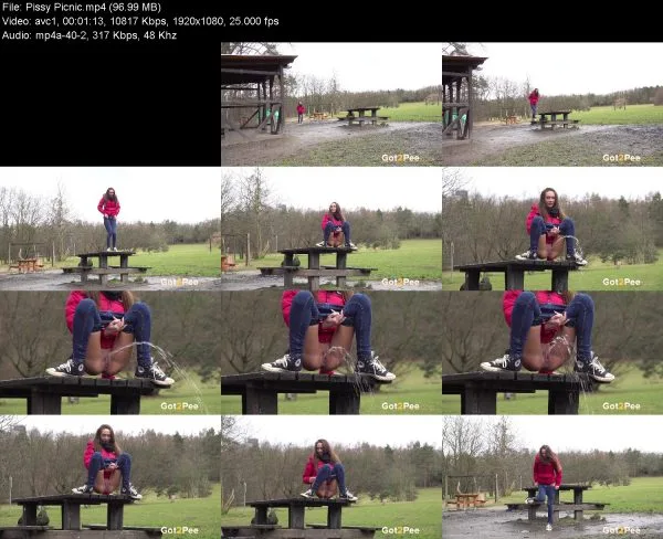 Pissy Picnic