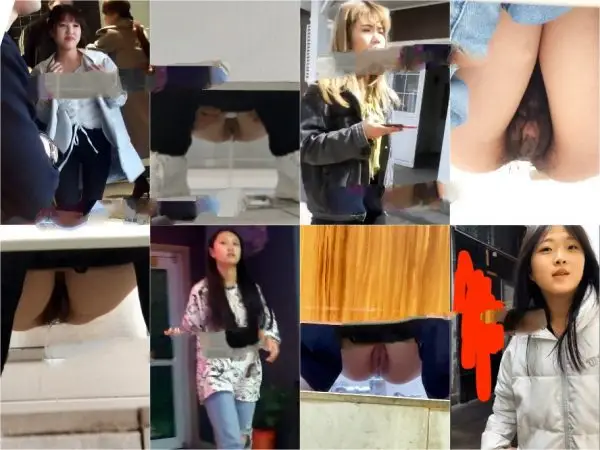 China Toilet Voyeur sifangktv 1424 Voyeur Cams
