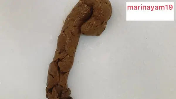 Marinayam19 – Huge shit left in the sink