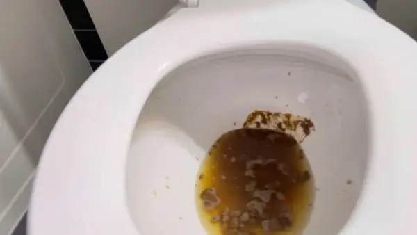MistressMystique – Full Trifecta – 3 Dommes 1 Toilet