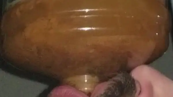 SSBBW Queen Siya – HUGE LOADS New SLAVE vs Experienced TOILET
