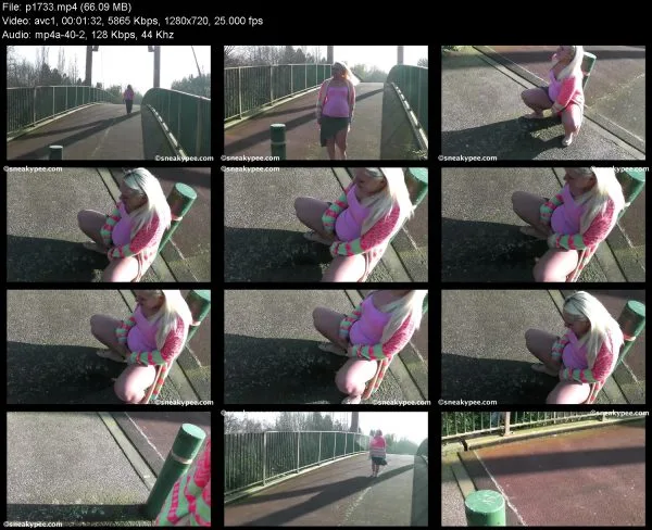 p1733 pissing in public, HD