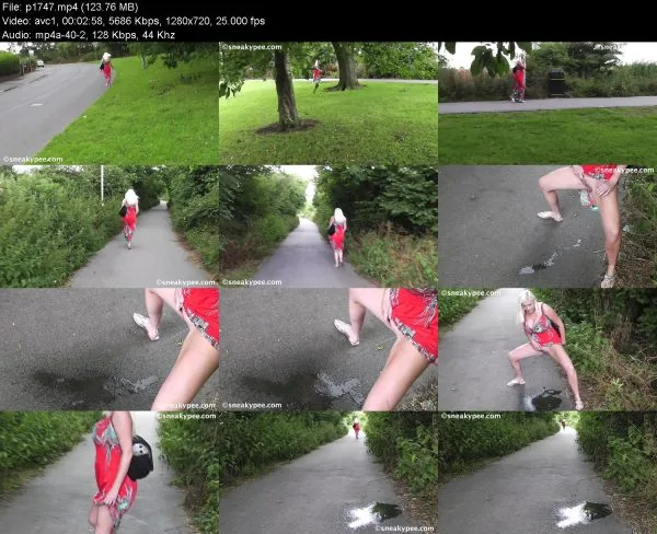 p1747 pissing in public, HD