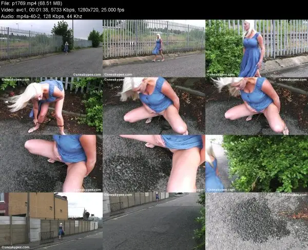 p1769 pissing in public, HD