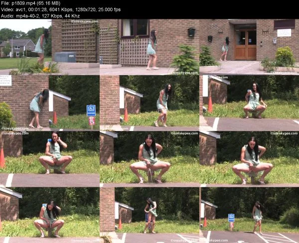 p1809 pissing in public, HD