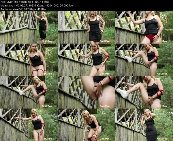 Over The Fence