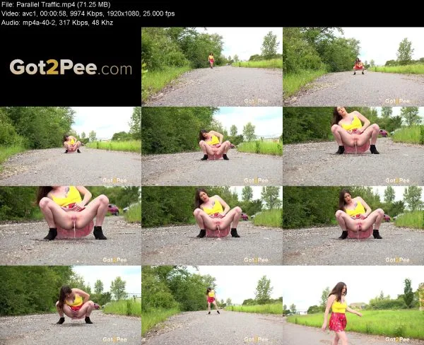 Parallel Traffic
