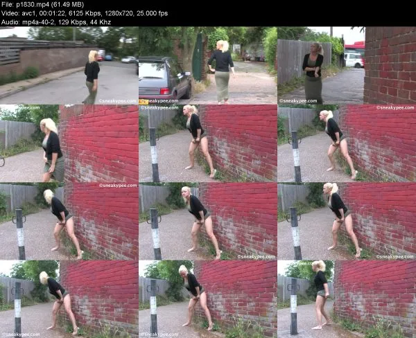 p1830 pissing in public, HD