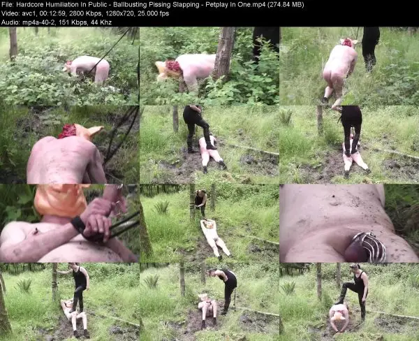 Hardcore Humiliation In Public – Ballbusting Pissing Slapping – Petplay …