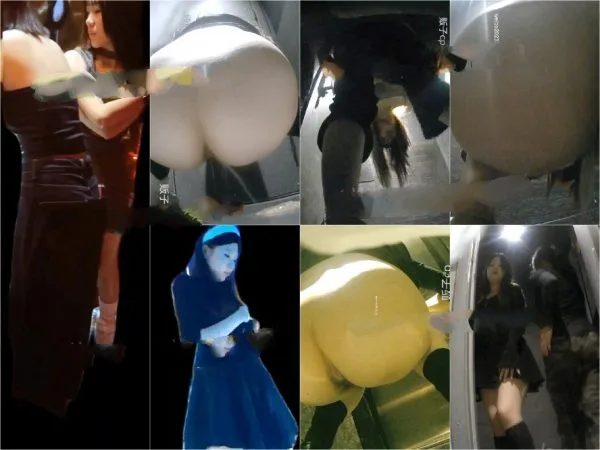 魔手☛外购█极品全景厕拍《小靓妹塞BB》17V[某房原版]