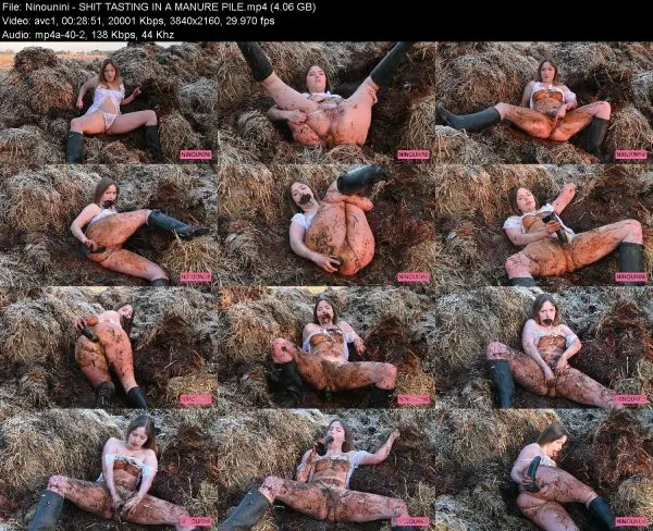 Ninounini – SHIT TASTING IN A MANURE PILE