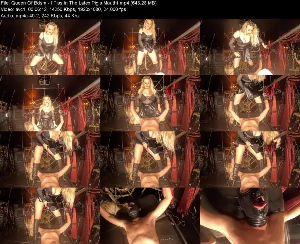 Queen Of Bdsm – I Piss In The Latex Pig’s Mouth!