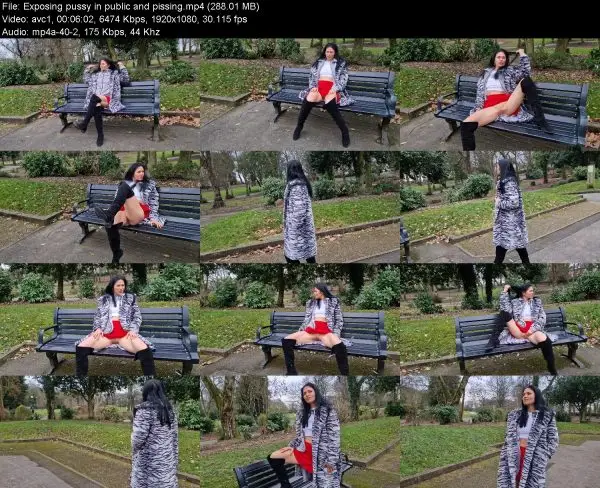 Exposing pussy in public and pissing