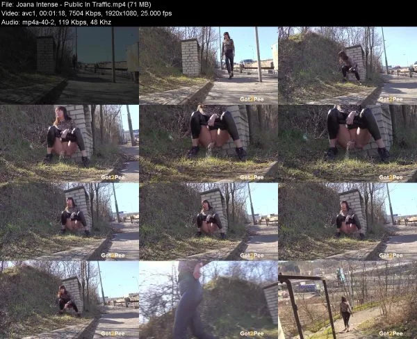 Joana Intense – Public In Traffic