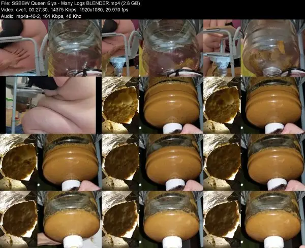 SSBBW Queen Siya – Many Logs BLENDER