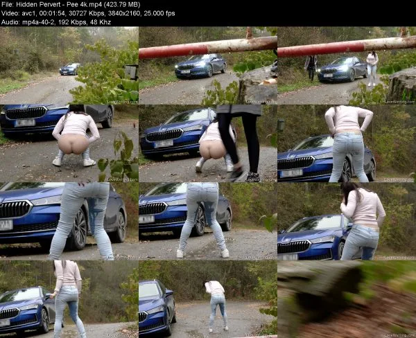 Hidden Pervert – Pee 4k