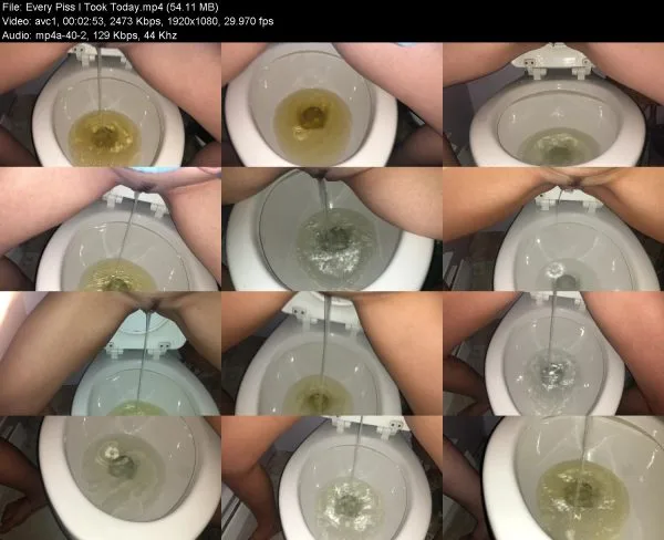 Every Piss I Took Today