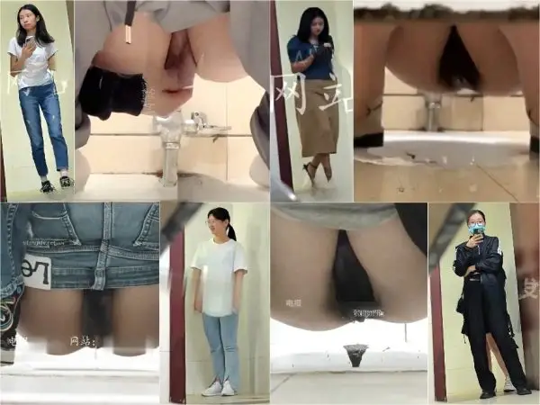 China Toilet Voyeur sifangktv 1668 Hidden Camera