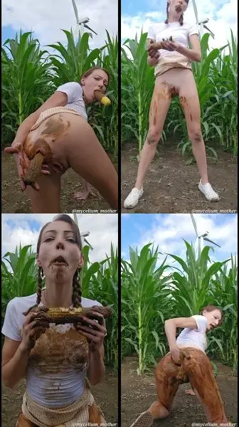 Mycelium Mother – The A-maize-ing Mycelium mother