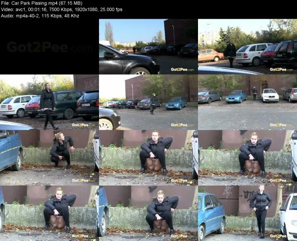 Car Park Pissing