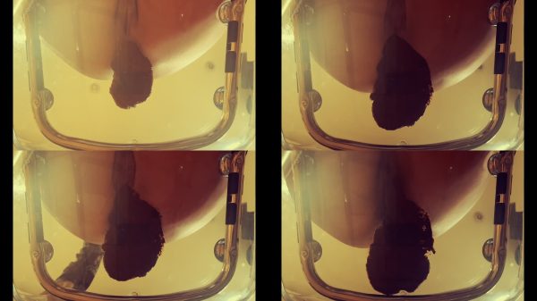 Arisdark – Poop in transparent chair