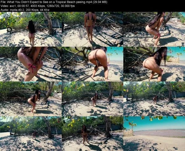 What You Didn’t Expect to See on a Tropical Beach peeing