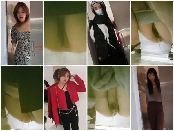 China Toilet Voyeur sifangktv 2644-2646 Public Restroom