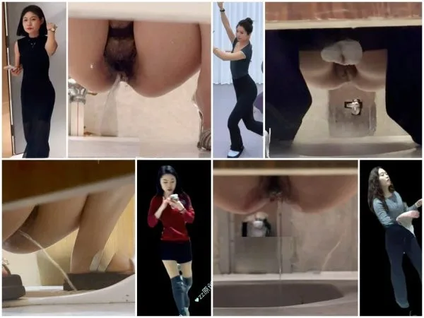 China Toilet Voyeur sifangktv 2650-2652 Public Restroom