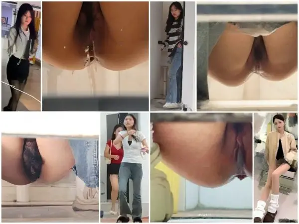 ゲリラ撮影＆照明スタイル：絶世の美女たちの排泄シーン集（全52本） Girls on the Toilet