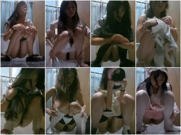 【最高級トイレショット8】高級オフィスビルのトイレショット：トイレを使う女神たち Public Restroom