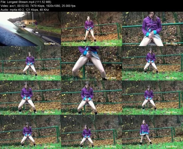 Longest Stream