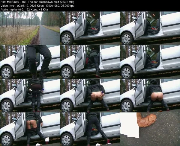 MiaRoxxx – 183  The car breakdown