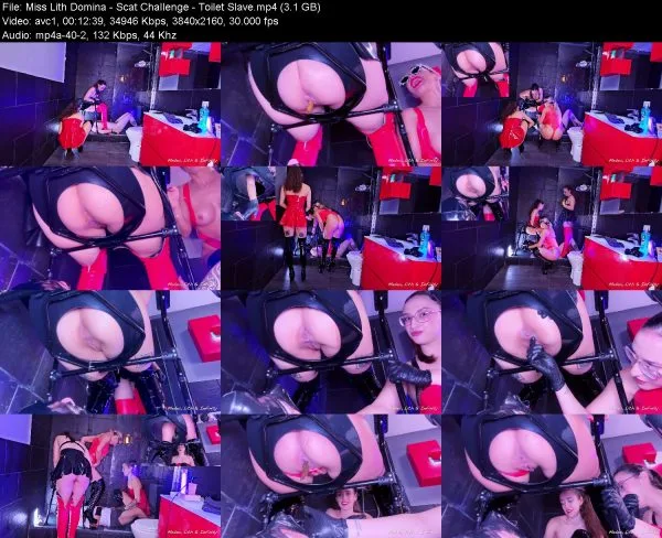Miss Lith Domina – Scat Challenge – Toilet Slave