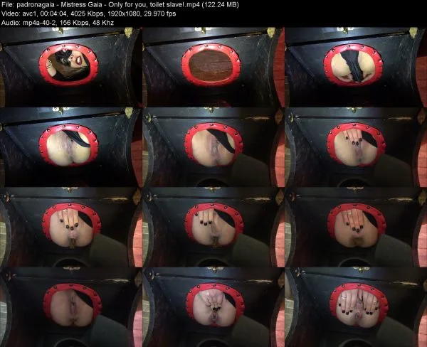 padronagaia – Mistress Gaia – Only for you, toilet slave!