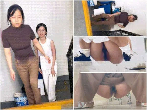 オフィスビルで一石二鳥：女性同僚二人の肉感的なマンコを写真に収める Hidden Camera