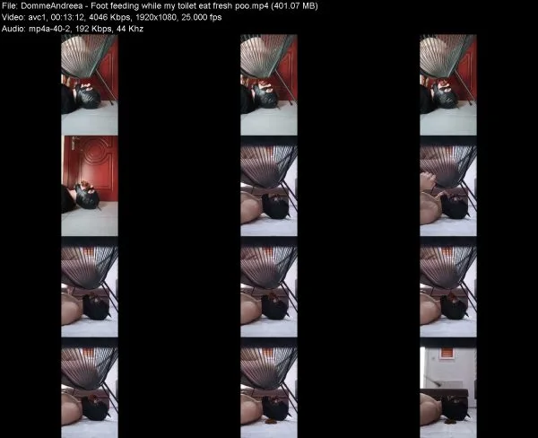 DommeAndreea – Foot feeding while my toilet eat fresh poo
