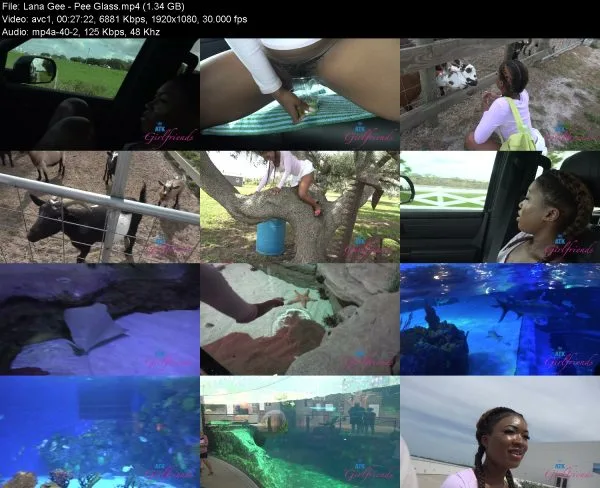 Lana Gee – Pee Glass