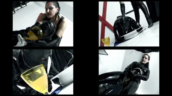 Domina Disciplines Her Pet