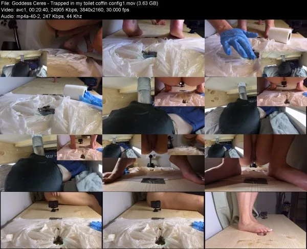 Goddess Ceres – Trapped in my toilet coffin config1